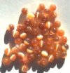 50 4mm Round Burnt Orange Fiber Optic